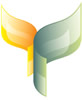Chrysalis Valuation Consultants LLC